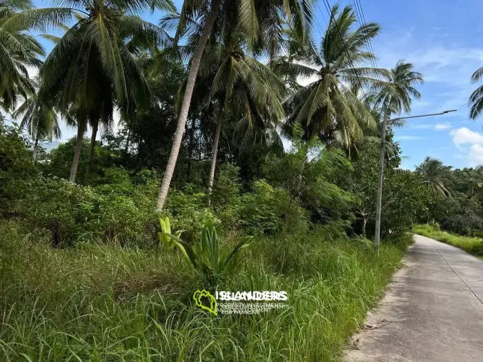 Scenic Plot in Ban Tai: A Blend of Nature and Convenience