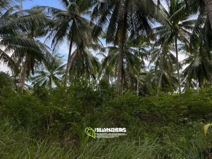 Scenic Plot in Ban Tai: A Blend of Nature and Convenience