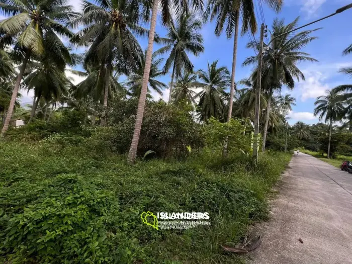 Scenic Plot in Ban Tai: A Blend of Nature and Convenience