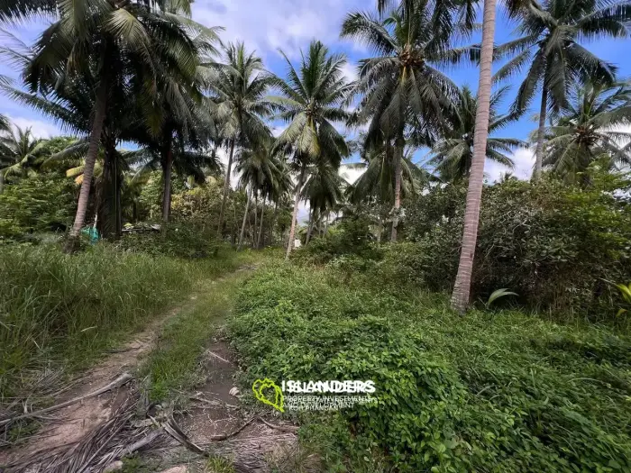 Scenic Plot in Ban Tai: A Blend of Nature and Convenience