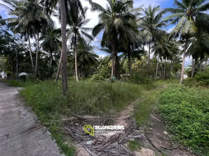 Scenic Plot in Ban Tai: A Blend of Nature and Convenience