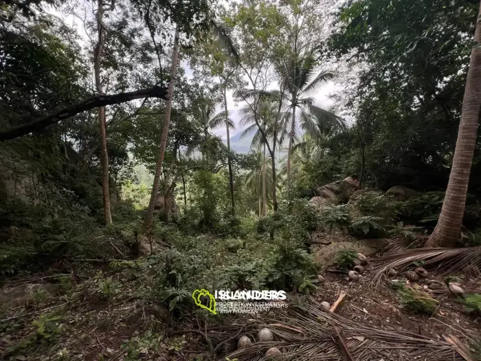 Land in Ban Tai for lease: Panoramic Sea and Mountain Views