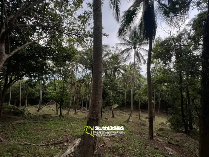 Land in Ban Tai for lease: Panoramic Sea and Mountain Views