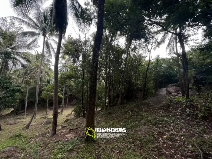 Land in Ban Tai for lease: Panoramic Sea and Mountain Views