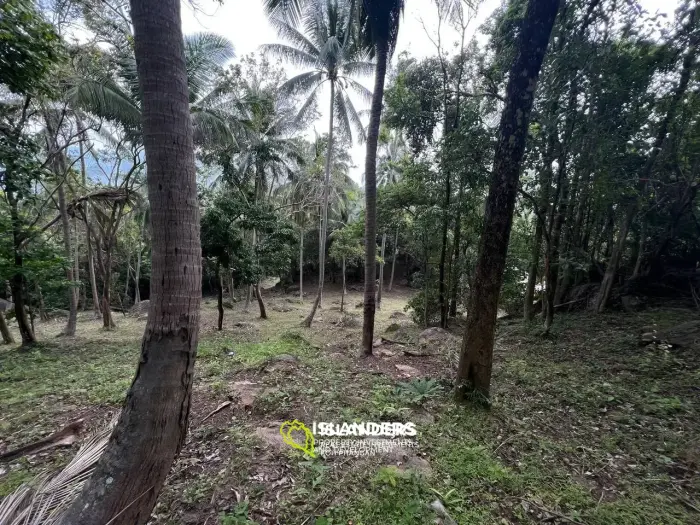 Land in Ban Tai for lease: Panoramic Sea and Mountain Views