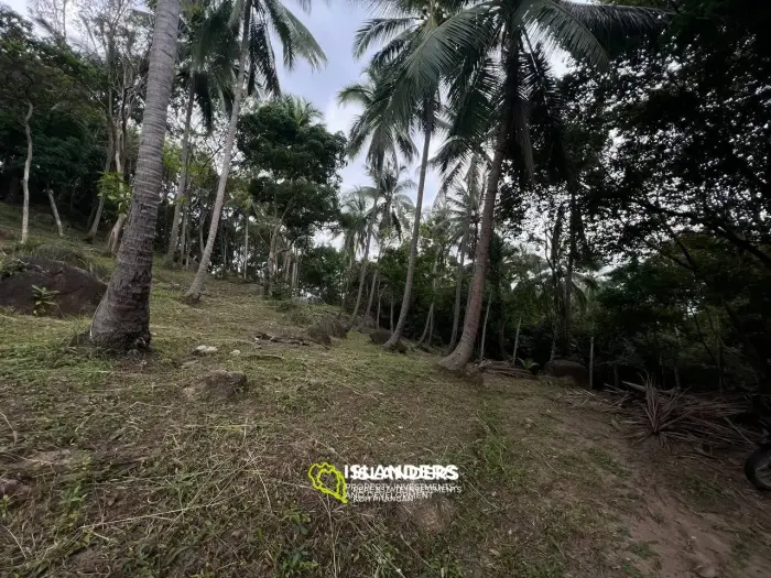 Land in Ban Tai for lease: Panoramic Sea and Mountain Views