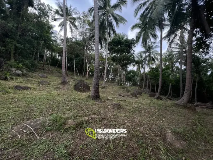 Land in Ban Tai for lease: Panoramic Sea and Mountain Views