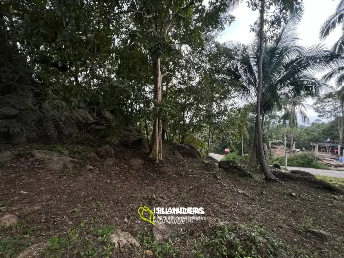 Land in Ban Tai for lease: Panoramic Sea and Mountain Views