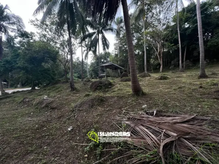 Land in Ban Tai for lease: Panoramic Sea and Mountain Views