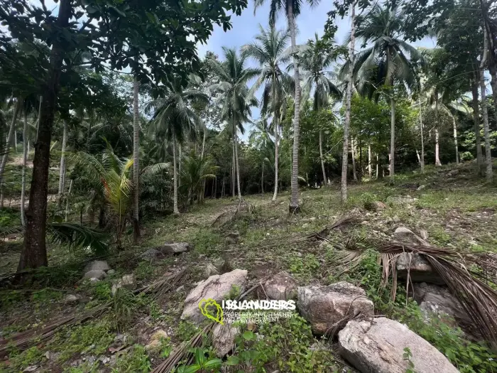 Land in Ban Tai for lease: Panoramic Sea and Mountain Views
