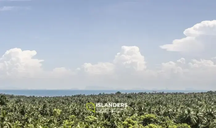 WOW Sea view land 