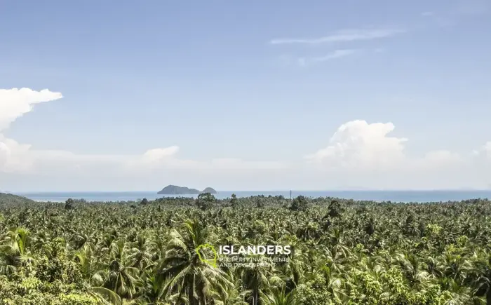 WOW Sea view land 