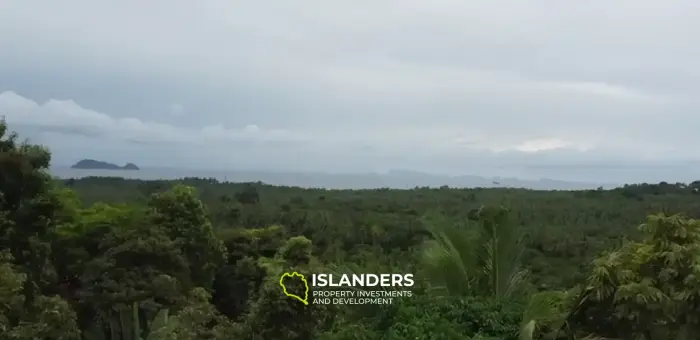 WOW Sea view land 