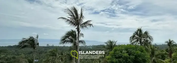 Joli terrain vue mer situé à Bankai