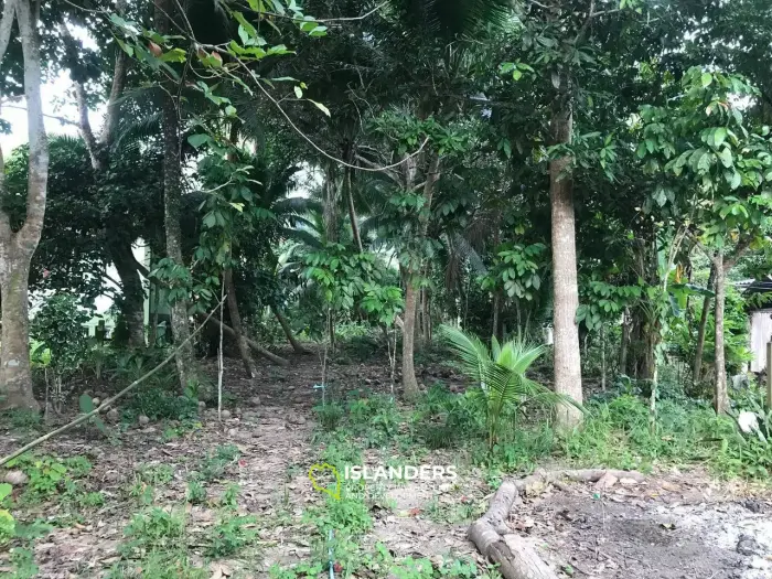 קרקע שטוחה דו מפלסית בבנקאי