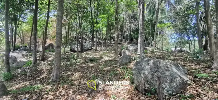 Prime sea view lands - 12,728 SqM