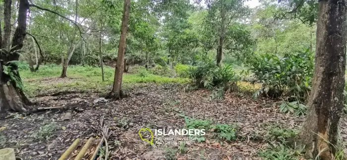 Flat land with a small lake in Woktum - ideal for privacy
