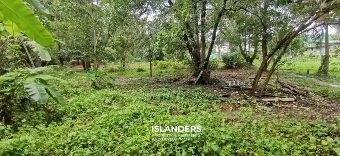Flat land with a small lake in Woktum - ideal for privacy