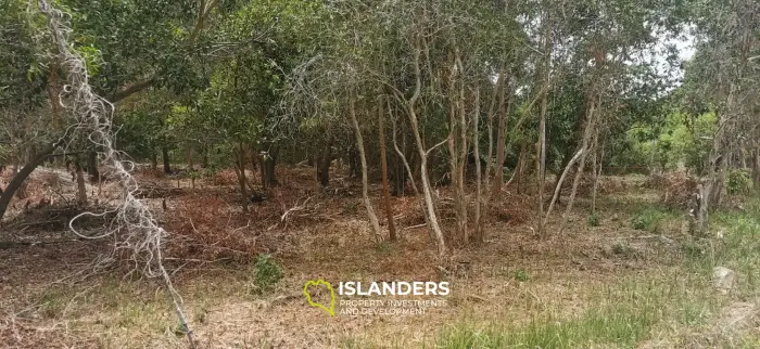Flat land with a small lake in Woktum - ideal for privacy