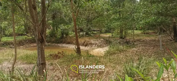 Flat land with a small lake in Woktum - ideal for privacy