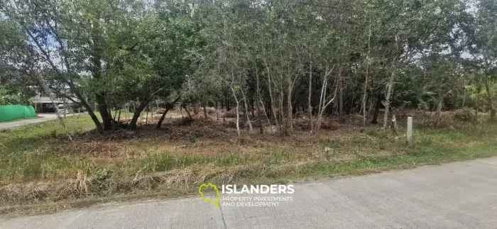 Flat land with a small lake in Woktum - ideal for privacy