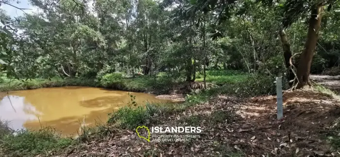 Flat land with a small lake in Woktum - ideal for privacy