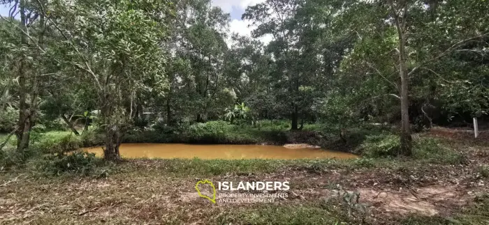 Flat land with a small lake in Woktum - ideal for privacy