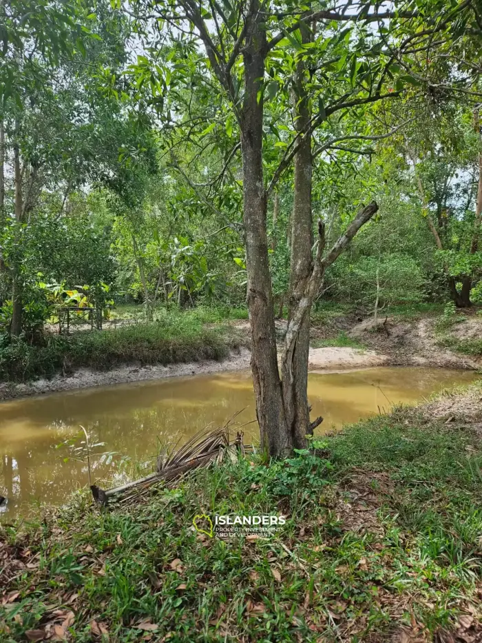 Flat land with a small lake in Woktum - ideal for privacy