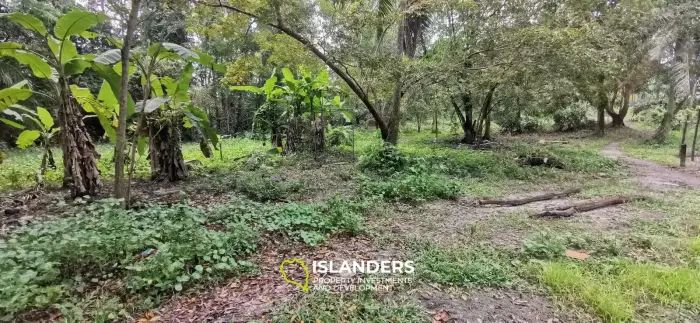 Flat land with a small lake in Woktum - ideal for privacy
