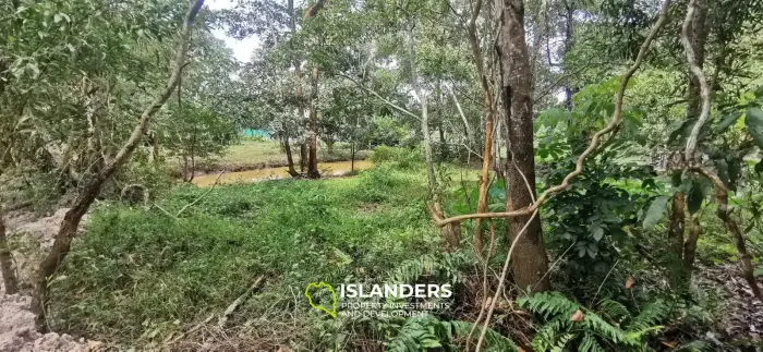 Flat land with a small lake in Woktum - ideal for privacy
