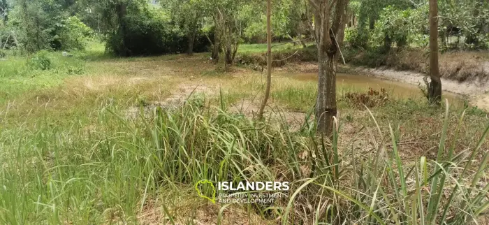Flat land with a small lake in Woktum - ideal for privacy
