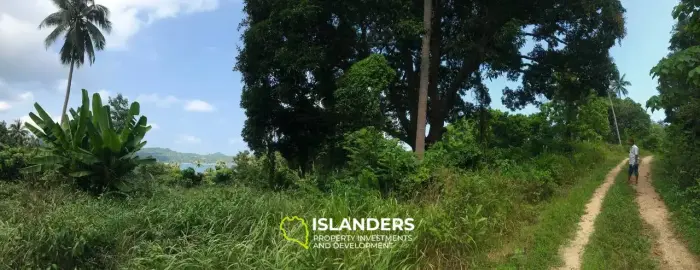 Seascape Sanctuary: คฤหาสน์ชายฝั่งพร้อมวิวทะเลในต้นนายปานใหญ่
