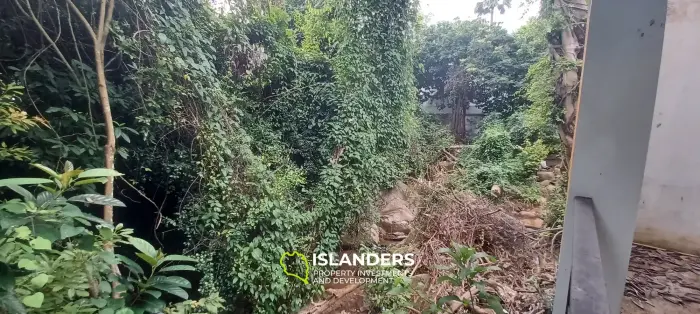 Chaweng noi, 3 bedrooms, jungle view villa with swimming pool.