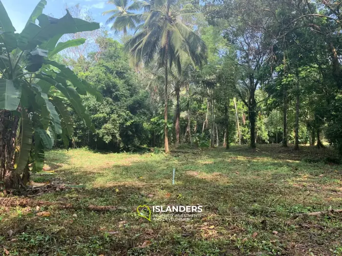3200 m2, Land Lipa Noi mitten in der Natur, nahe am Strand