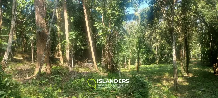 3200 m2, terrain Lipa Noi en pleine nature, proche de la plage