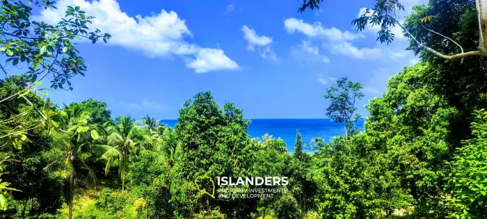 Wunderschönes Grundstück mit Meerblick auf Koh Phangan, Haad Tien zu verkaufen, 2577 m², 1,61 Rai, 2 Minuten zum Strand