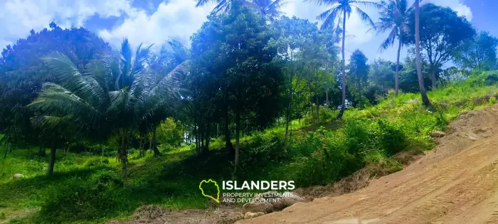 Beautiful seaview land on Koh Phangan, Haad Tien for sale, 2204sqm, 1,38Rai, 2 minutes to the beach (№14)