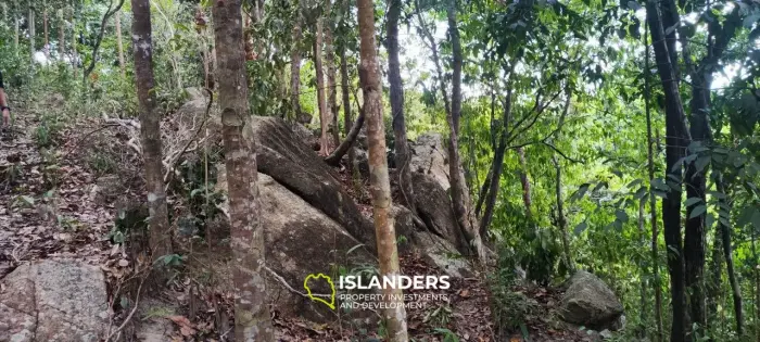 Jungle view land on Chalokum