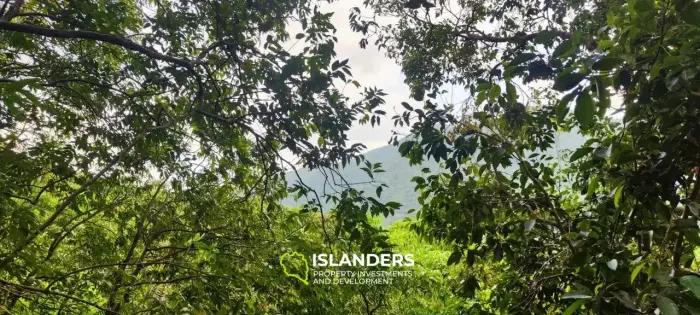 Jungle view land on Chalokum