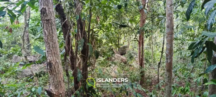 Jungle view land on Chalokum