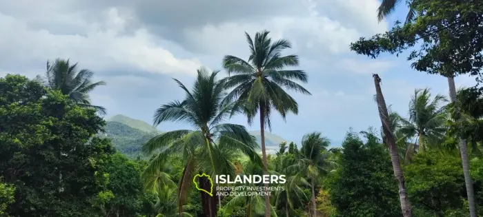 2 rai seaview land on Chalokum (NSS)