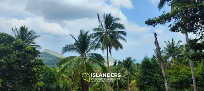 2 rai seaview land on Chalokum (NSS)