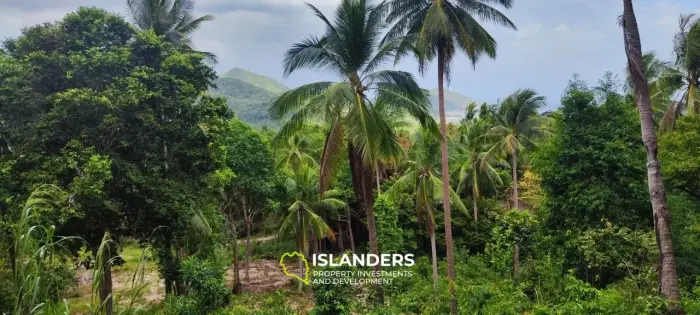 2 rai seaview land on Chalokum (NSS)