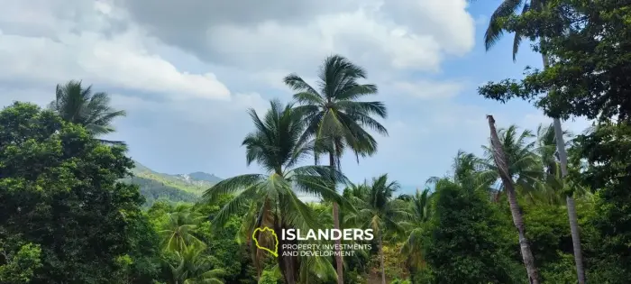 2 rai seaview land on Chalokum (NSS)