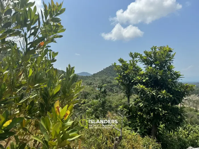 Terrain vue mer et jungle avec bon potentiel à Sritanu (route sale, pas d'électricité), 5,6725 Rai