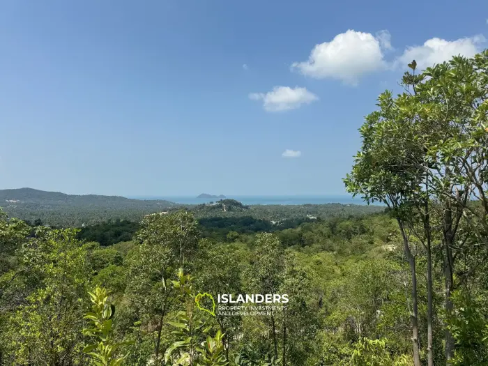 Hermoso terreno con vista al mar y a la jungla con buen potencial (camino de tierra, sin electricidad), 2,18 Rai (Lote 39)