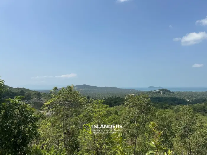 أرض ذات إطلالة رائعة على البحر والغابة مع إمكانات جيدة (طريق متسخ، لا كهرباء)، 1 راي (قطعة أرض 40)