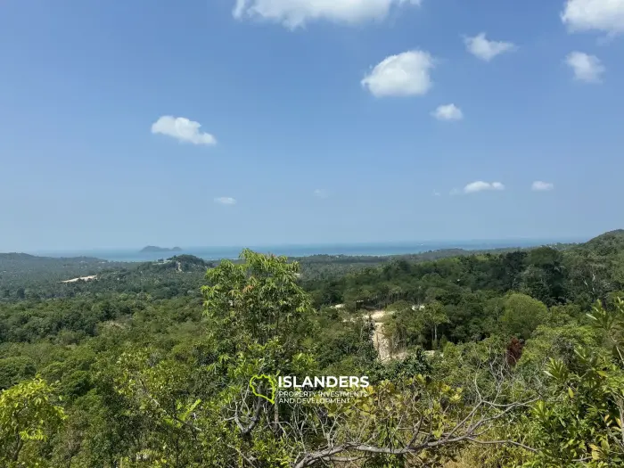 Big seaview and jungleview land with good potential in Sritanu (dirty road, no electricity), 25,6775 Rai