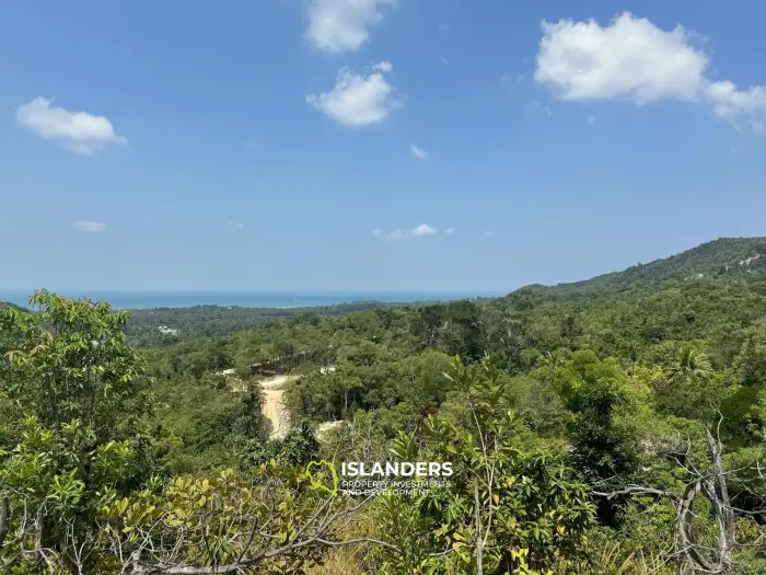 Big seaview and jungleview land with good potential in Sritanu (dirty road, no electricity), 25,6775 Rai