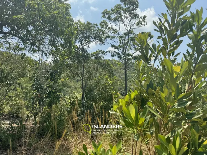 Big seaview and jungleview land with good potential in Sritanu (dirty road, no electricity), 25,6775 Rai